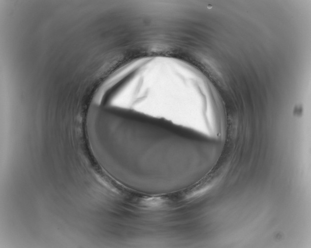 X0000090490269200708102225