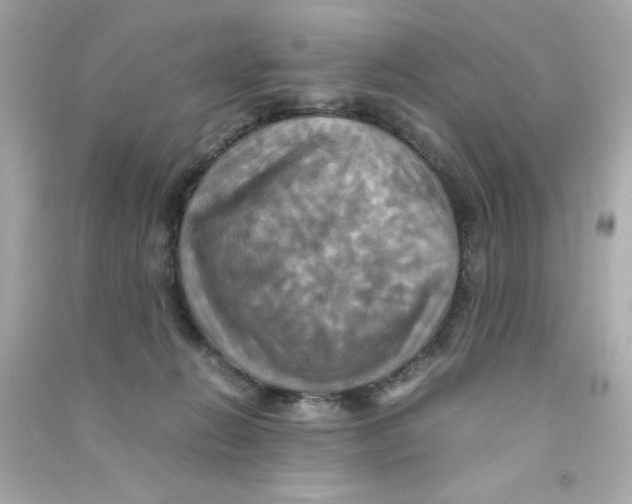 X0000090490270200708102225