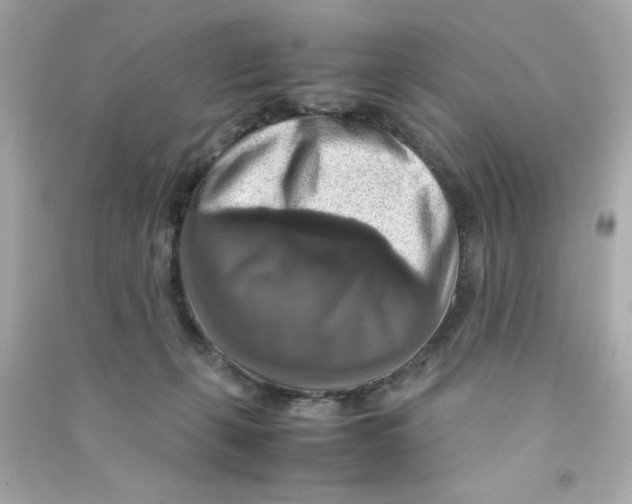 X0000090490271200708102225