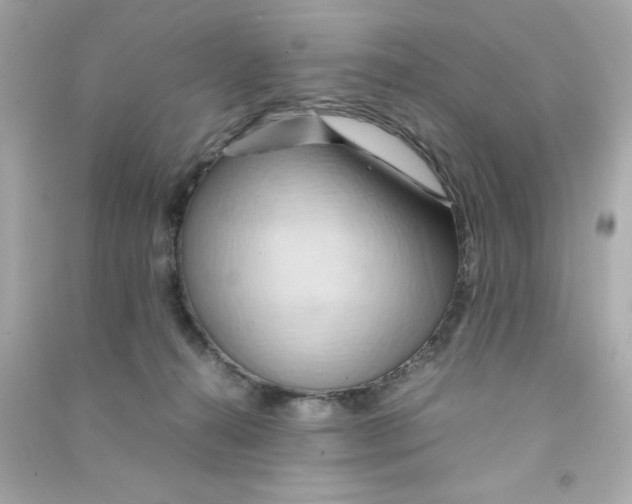 X0000090490272200708102225