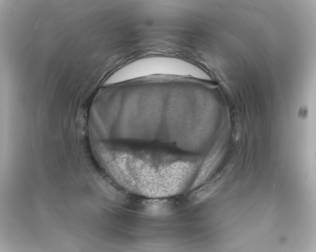 X0000090490273200708102225