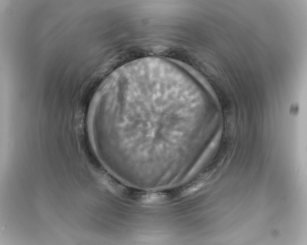 X0000090490274200708102225