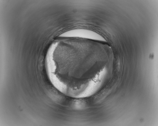 X0000090490275200708102225