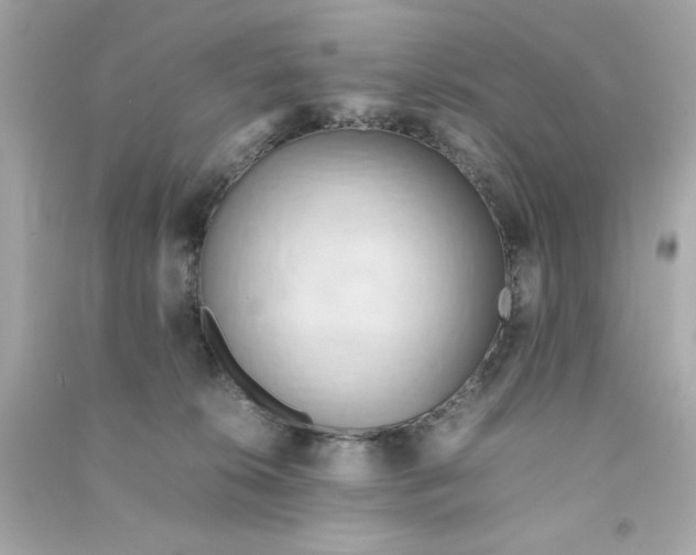 X0000090490276200708102225