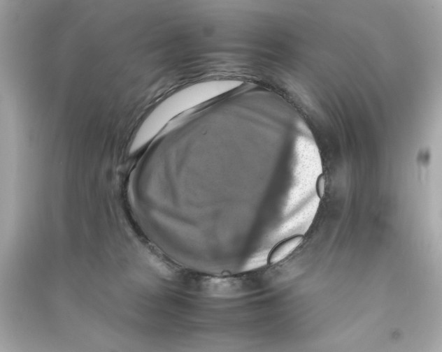 X0000090490277200708102225