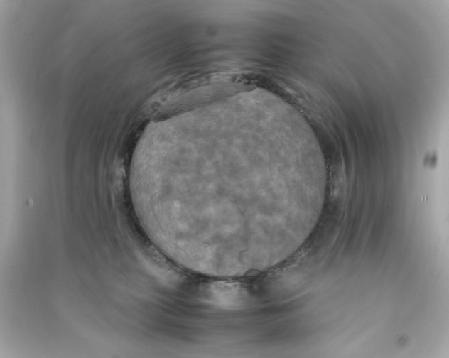 X0000090490279200708102225