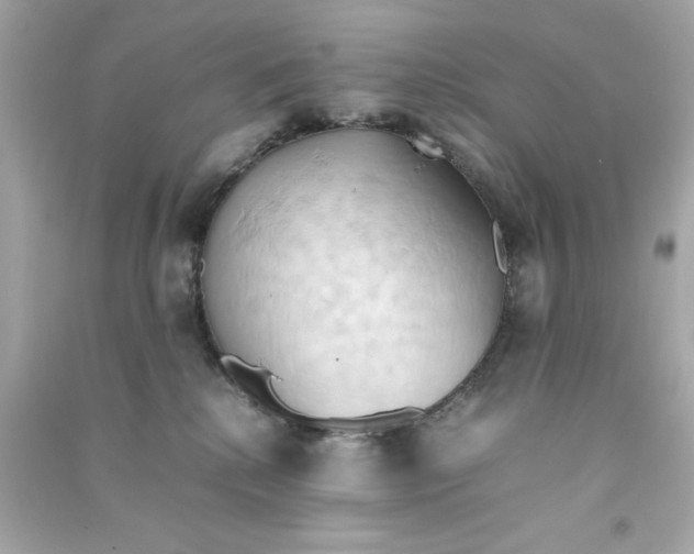 X0000090490280200708102225