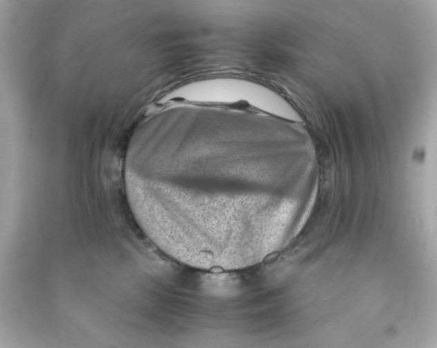 X0000090490281200708102225