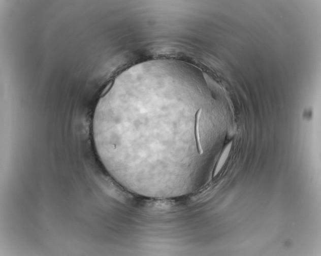 X0000090490282200708102225