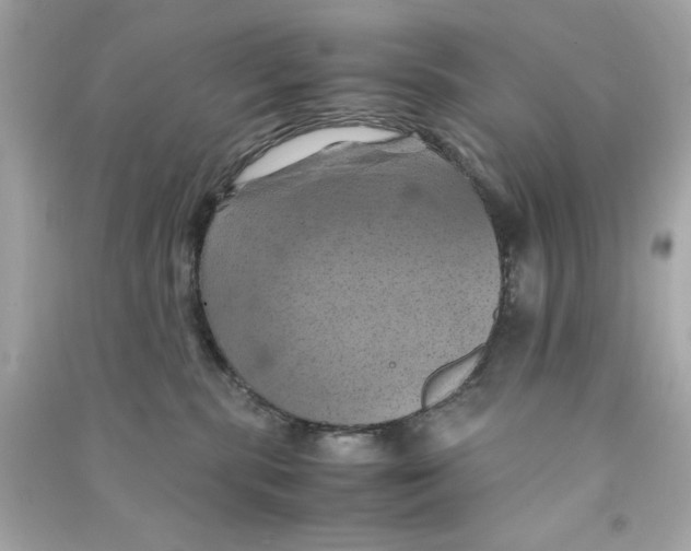 X0000090490283200708102225