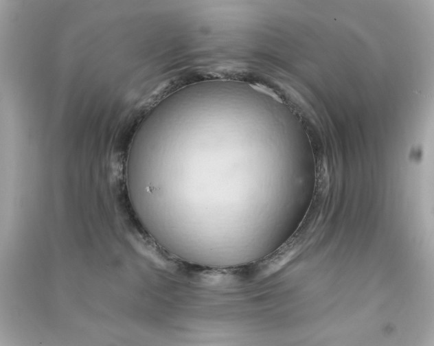 X0000090490284200708102225