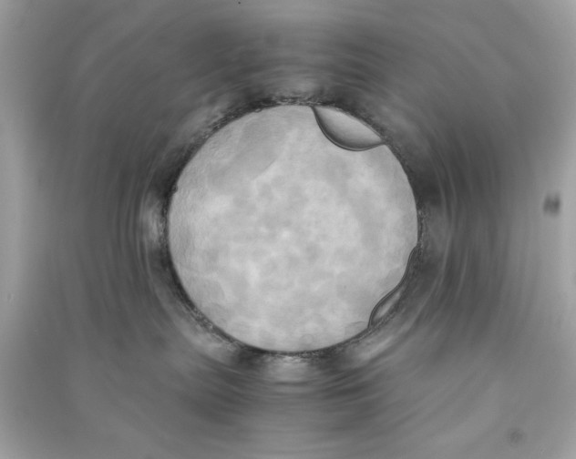 X0000090490287200708102225