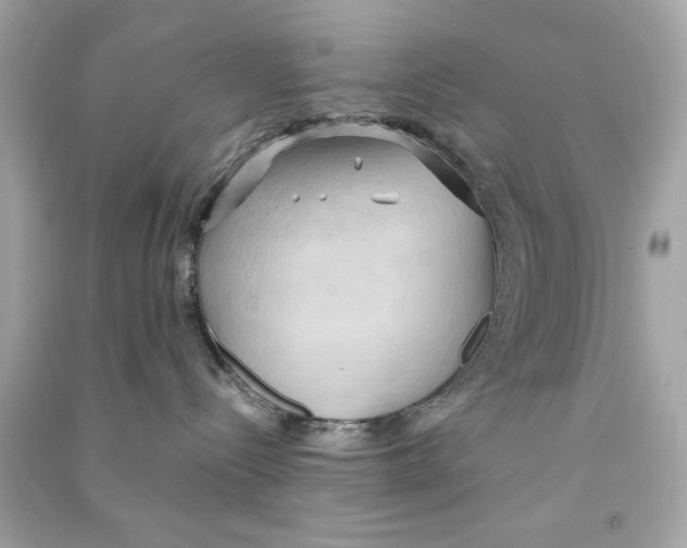 X0000090490288200708102225