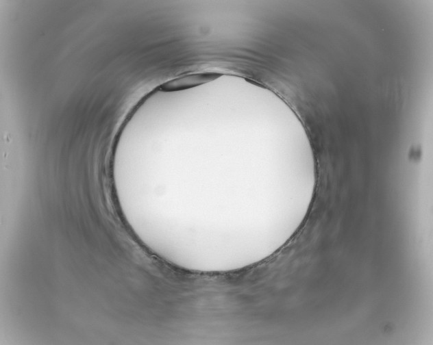 X0000090490289200708102225