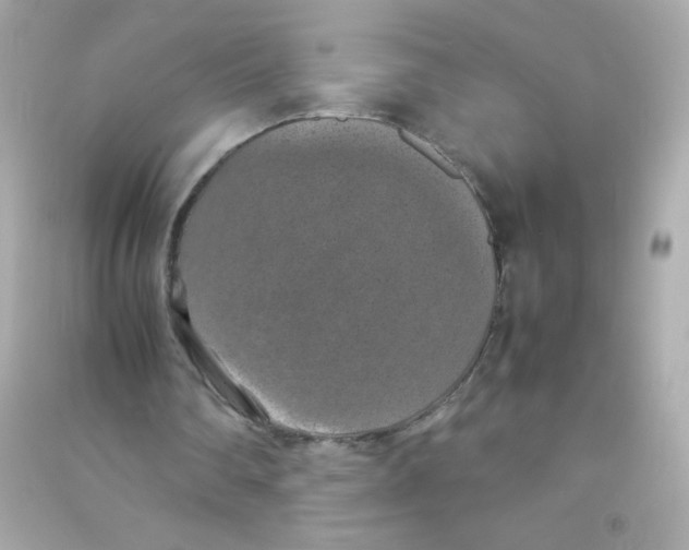 X0000090490290200708102224