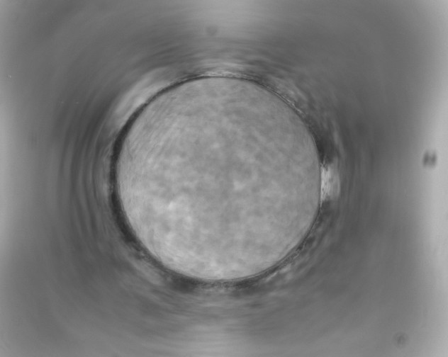 X0000090490291200708102224