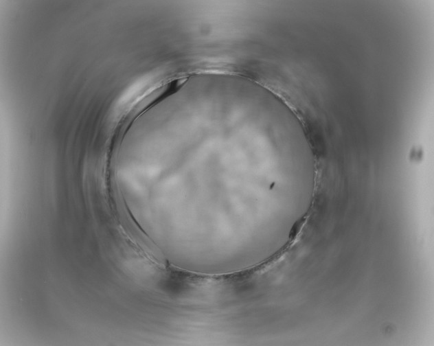 X0000090490293200708102224