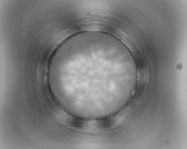 X0000090490301200708102224