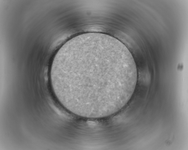 X0000090490302200708102224