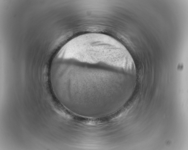 X0000090490303200708102224