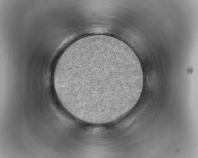 X0000090490304200708102224