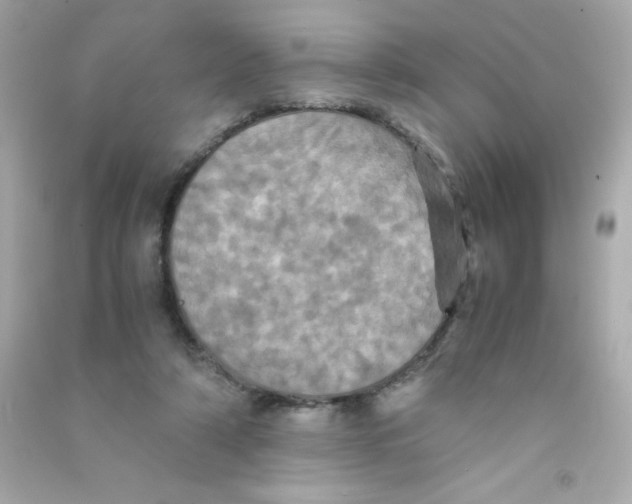 X0000090490306200708102224