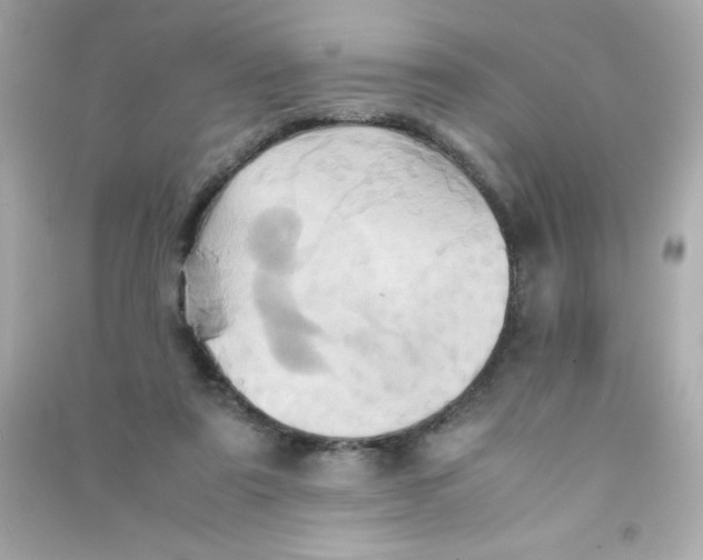 X0000090490307200708102224