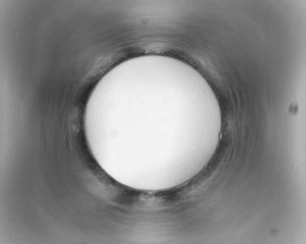 X0000090490311200708102224