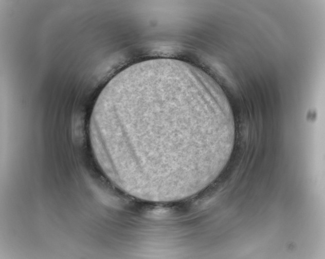 X0000090490312200708102224