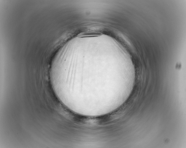 X0000090490313200708102224