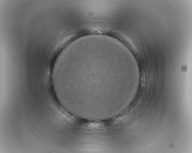 X0000090490314200708102224