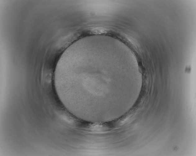 X0000090490315200708102224