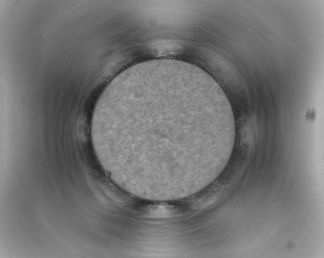 X0000090490316200708102224