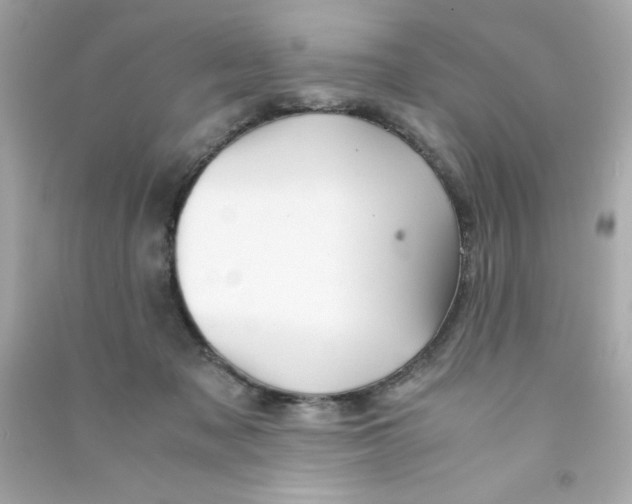 X0000090490317200708102224