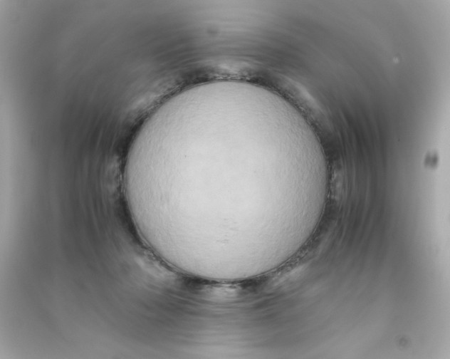 X0000090490318200708102224