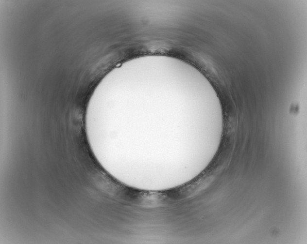 X0000090490321200708102224