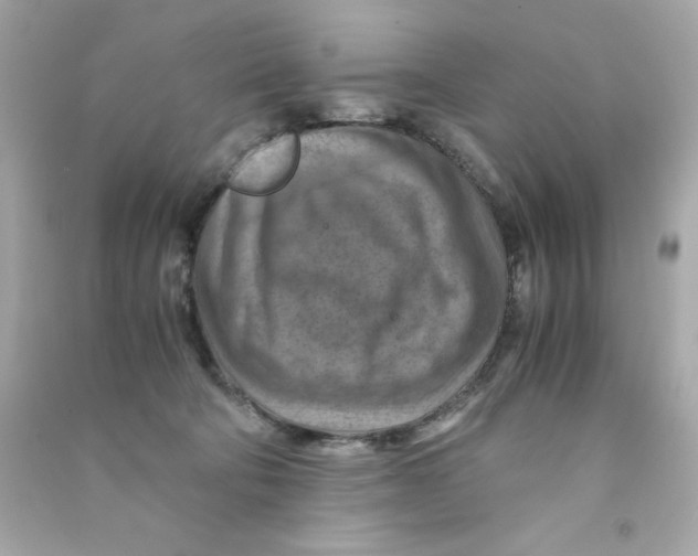 X0000090490322200708102224