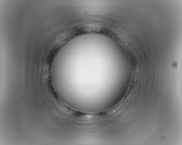 X0000090490323200708102224