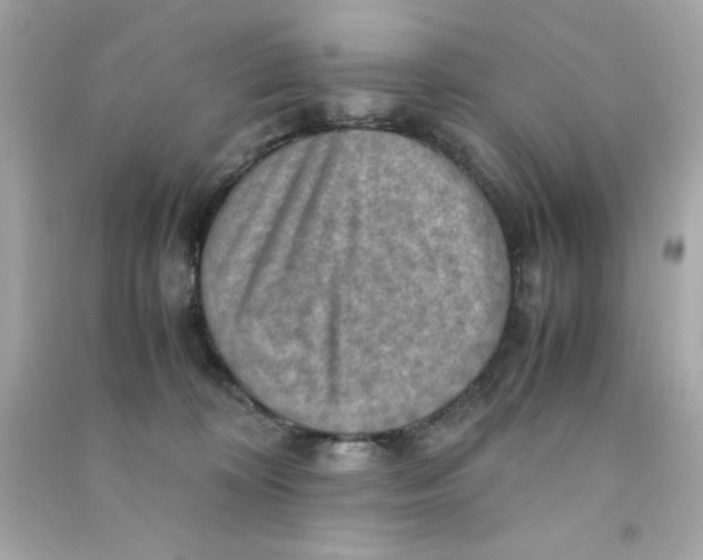 X0000090490324200708102224