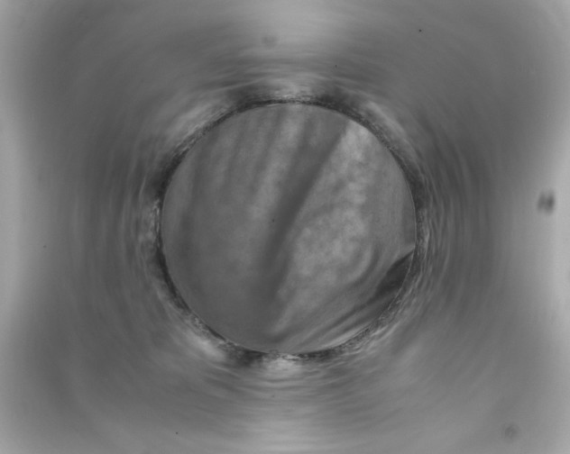 X0000090490325200708102224