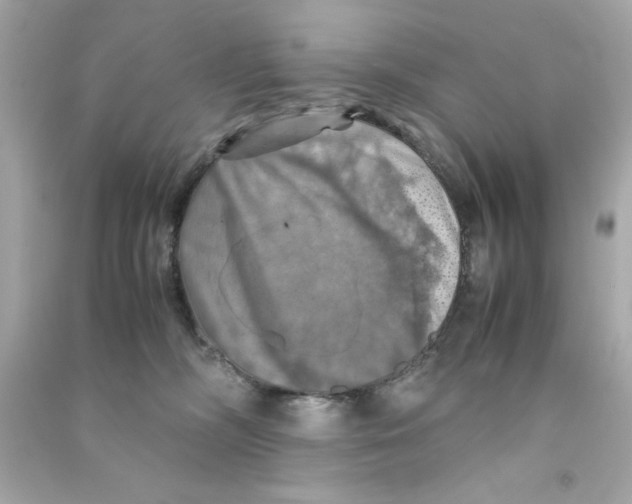 X0000090490326200708102224