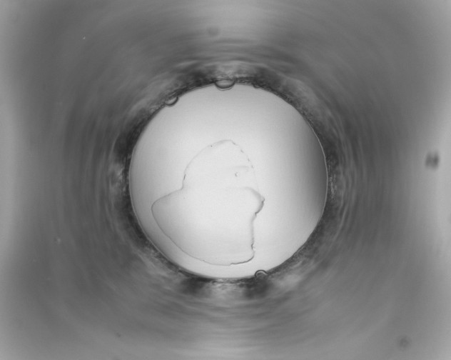 X0000090490327200708102224