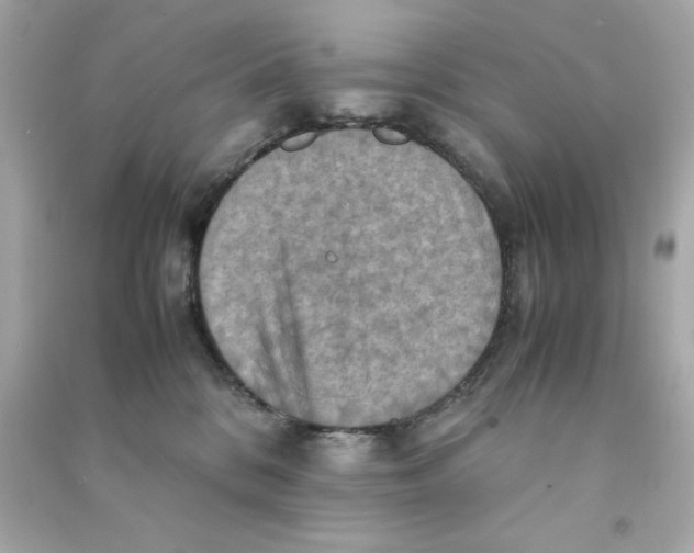 X0000090490328200708102224