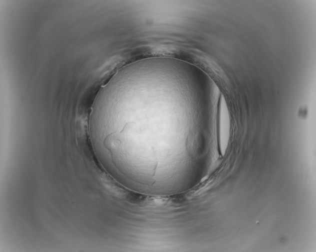 X0000090490329200708102224