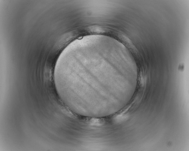 X0000090490330200708102224