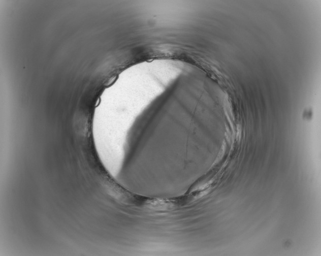 X0000090490331200708102224