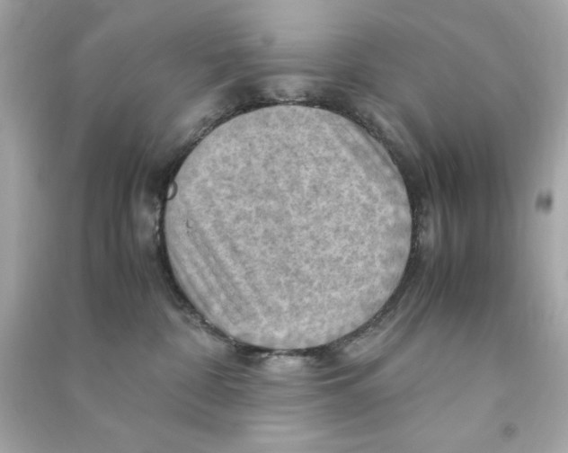 X0000090490332200708102224