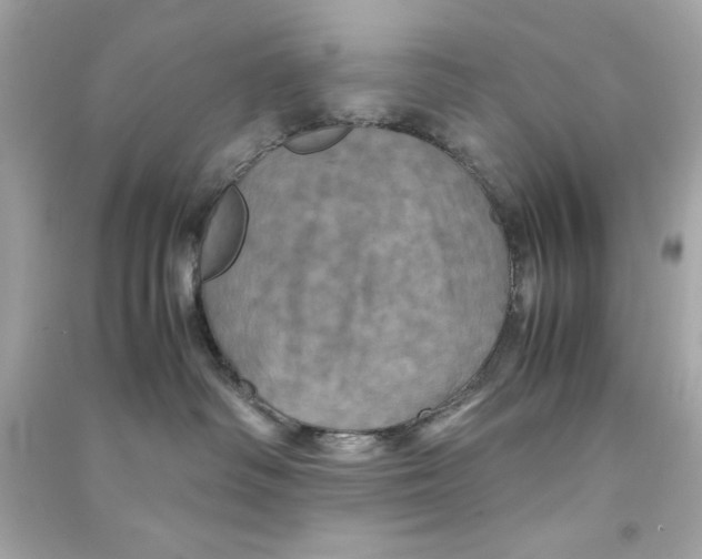 X0000090490334200708102224