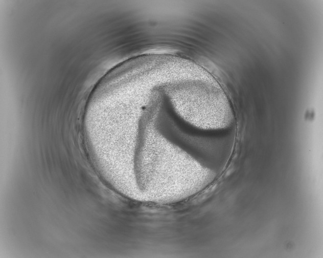 X0000090490337200708102223