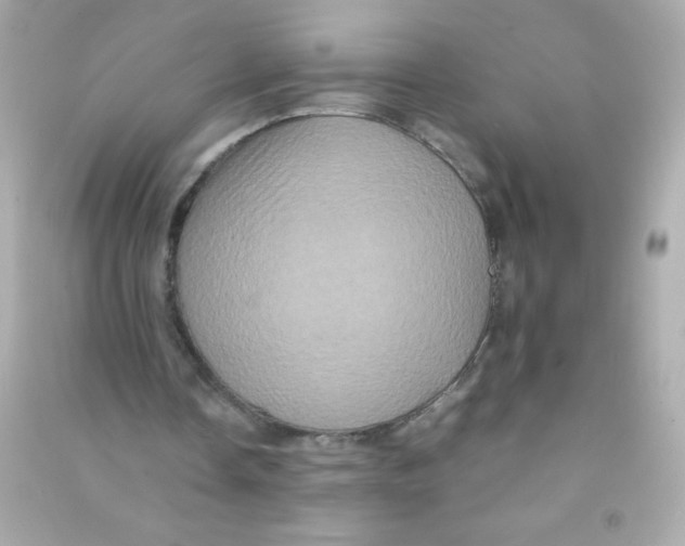 X0000090490338200708102223